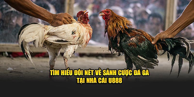 Tìm hiểu đôi nét về nền tảng giải trí chất lượng trên thị trường
