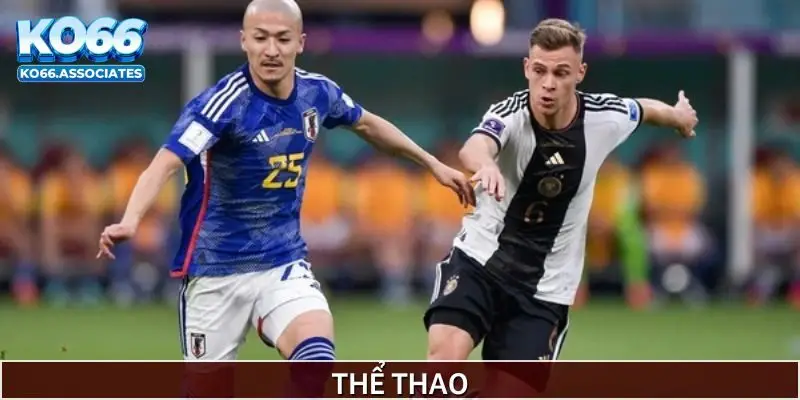 the-thao